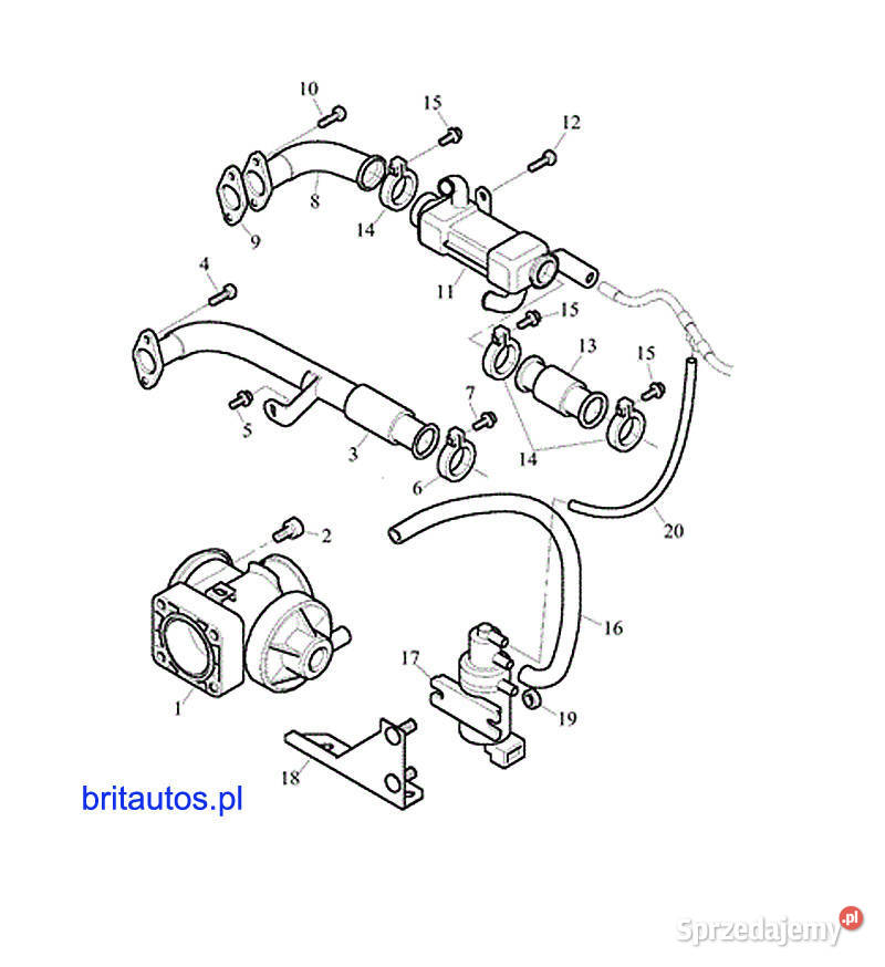 RURKA KOLANKO RECYRKULACJI CHŁODNICZKI SPALIN osobowe wielkopolskie