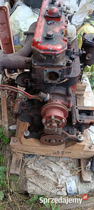 Silnik MTZ 82 d240