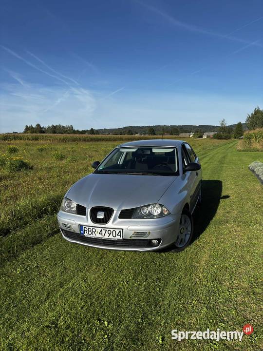 SEAT IBIZA III 14 Benzyna 2002 sprzedam
