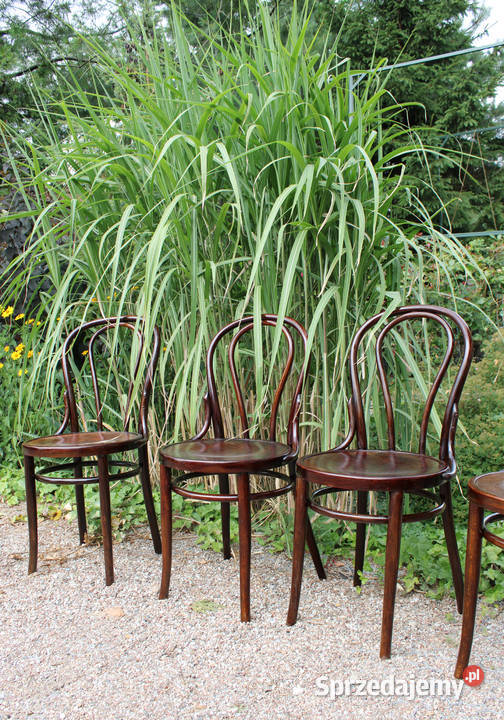 Krzesło gięte Thonet fabryka mebli z Wojciechowa Antoniewo sprzedam