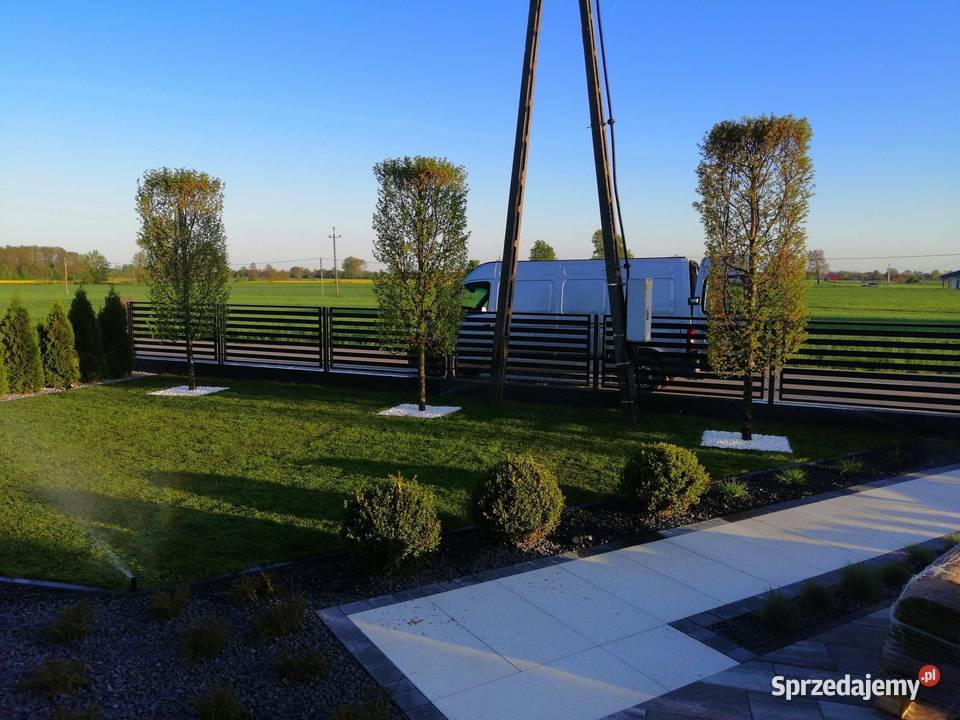 Budowa ZAKŁADANIE OGRODÓW Garden service Ogrody Dąbrowa Tarnowska