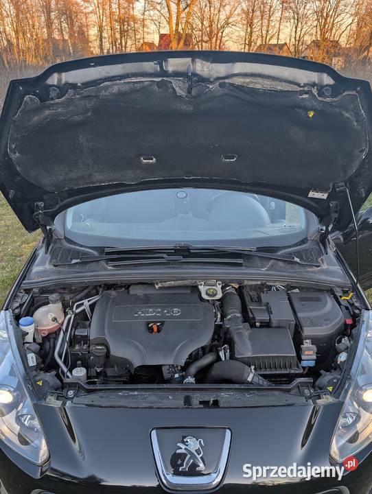 Peugeot 308 T7 20HDi 150 Allure 18 4/5 Jeziorki Kosztowskie