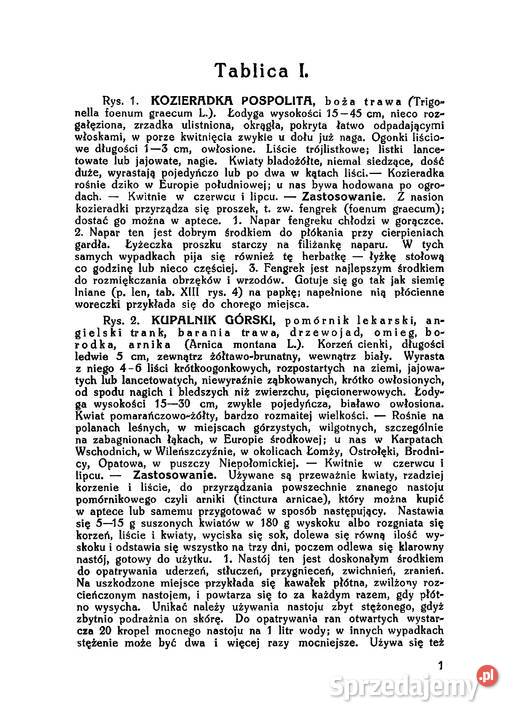 Ks SKNEIPP ZIELNIK Atlas roślin leczniczych Wyd Kozienice