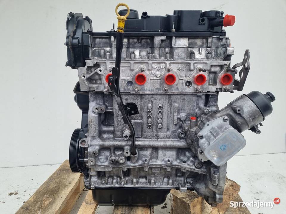 SILNIK REGENERACJI Ford Fiesta VII MK7 16 TDCI Rudka