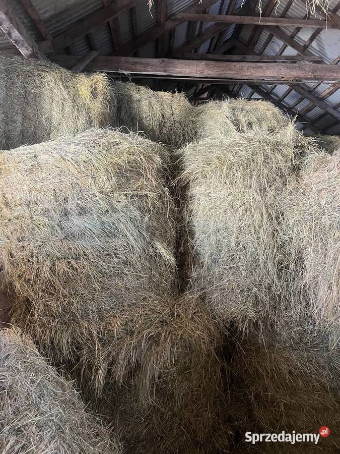 Siano 2025 lubelskie