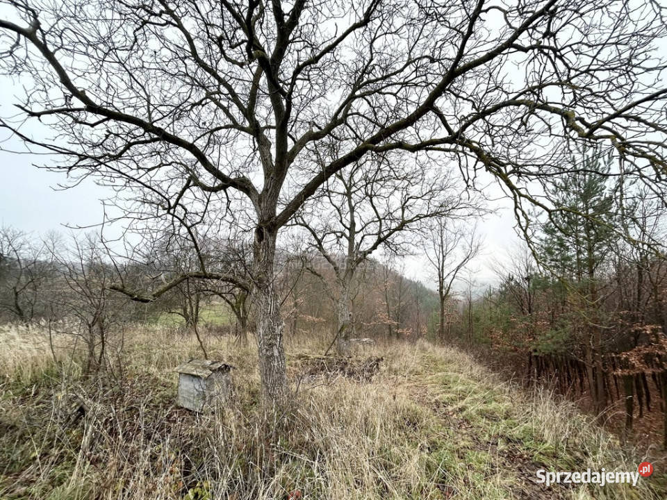 Działki rolneTymin asfalt lubelskie