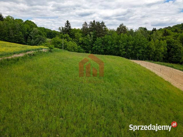 sprzedaży działki Wielopole Skrzyńskie 1300m2 sprzedam
