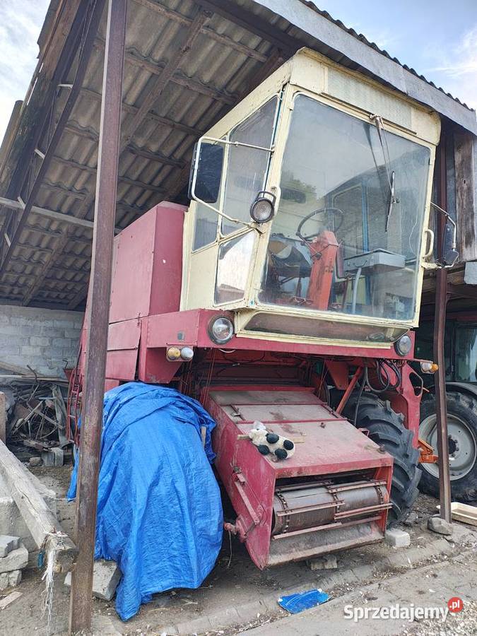 Bizon z56 Bizon świętokrzyskie