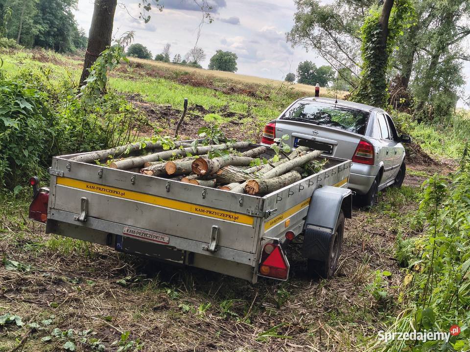 Przyczepa Rydwan Euro A1300 Do samochodów osobowych Włocławek