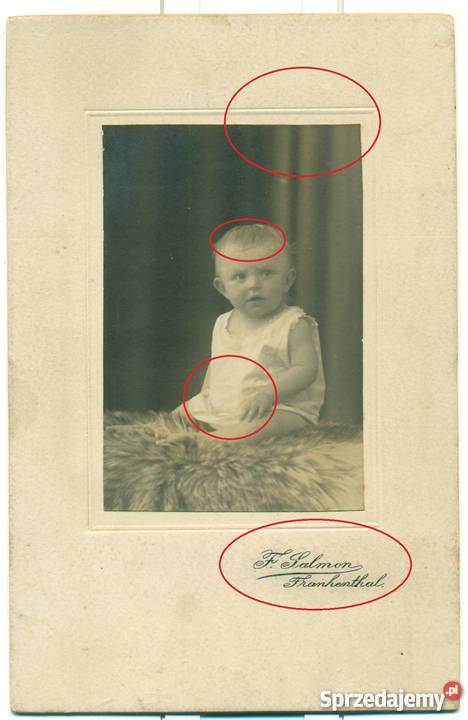 Stare zdjęcie fotografia kartonik F Salmon Bielsko-Biała