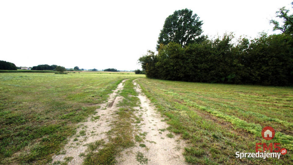 Lokal Jeńki 150m2 Nieruchomości