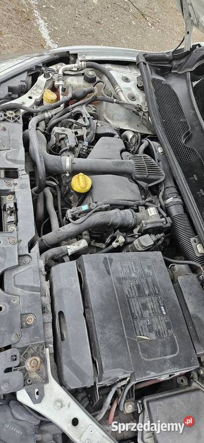 Renlaut Megane 15 dci 2015 Megane Wieleń