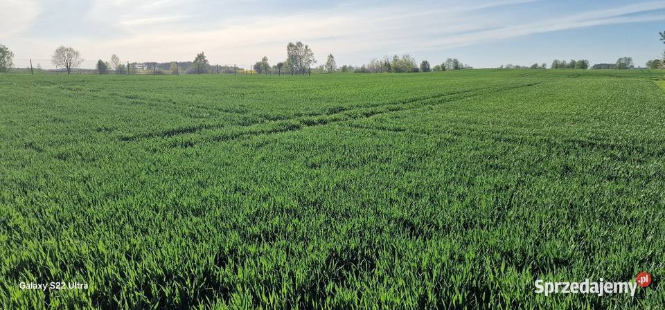 Działki jeziorem Głuszyńskim 123456m Bytoń