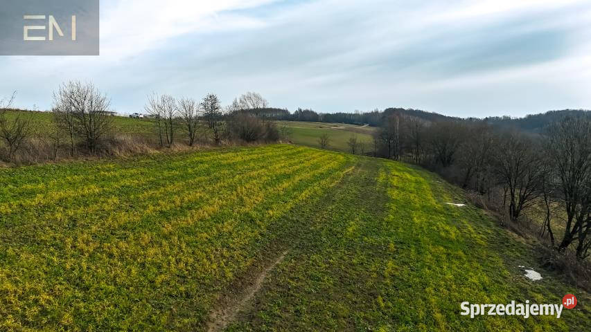 Działka 4300m Gogołów utwardzona podkarpackie