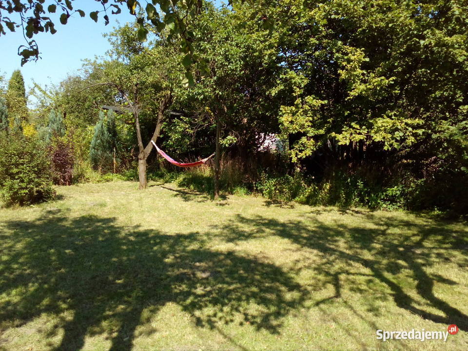 Działka ROD na tyłach Wola Parku 20m sprzedam