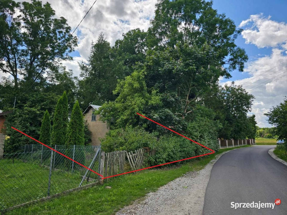 sprzedaży działki Dąbrowa Widawska 2500m2 sprzedam