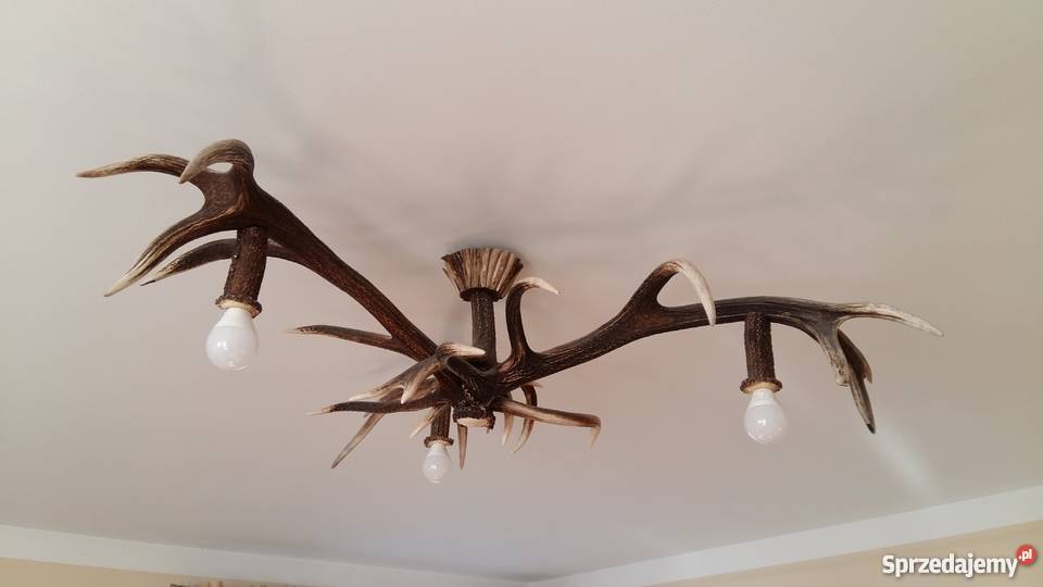 Żyrandol ze zrzutów poroża jelenia Szczecinek sprzedam
