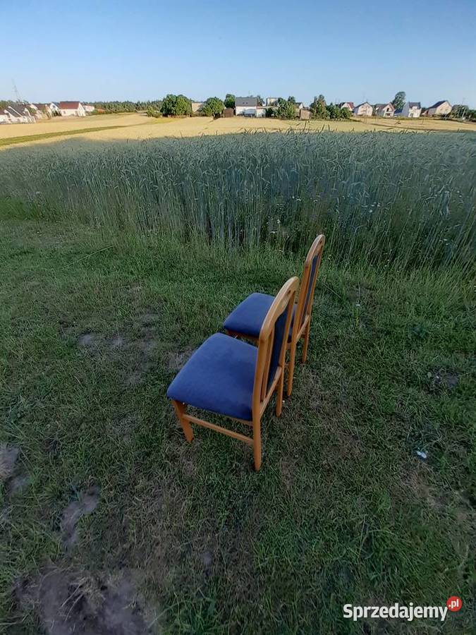 Drewniane krzesło 2 Odnowiona tapicerka Kartuzy