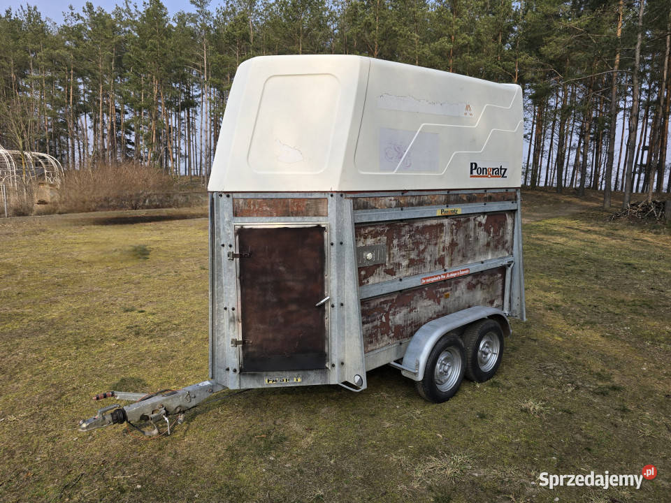 Przyczepa do przewozu koni zwierząt PONGRATZ PA Do przewozu koni sprzedam