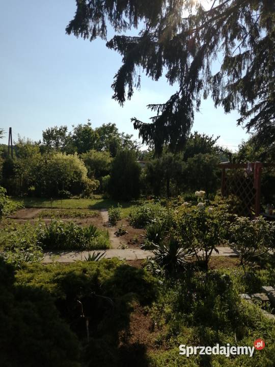 Działka Wisłą w Chełmnie Chełmno