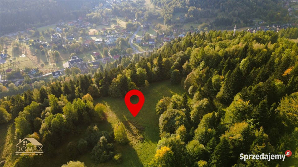 Działka 7198m2 Zawoja 40zł/m2 Sprzedaż
