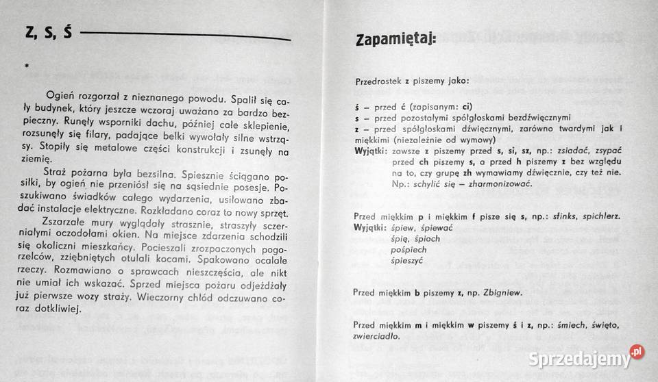 Dyktanda z powtórką zasad ortografii polskiej Pozostałe