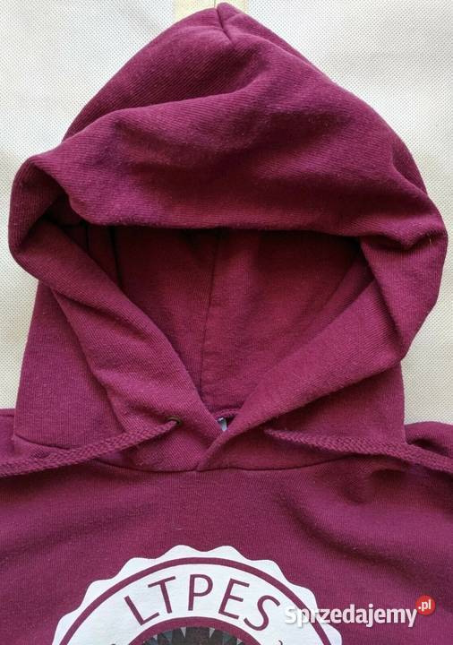 FRUIT OF THE LOOM bluza M Warszawa