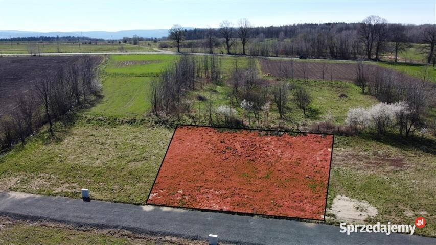 Grunt do sprzedania Złotniki Lubańskie 825m2
