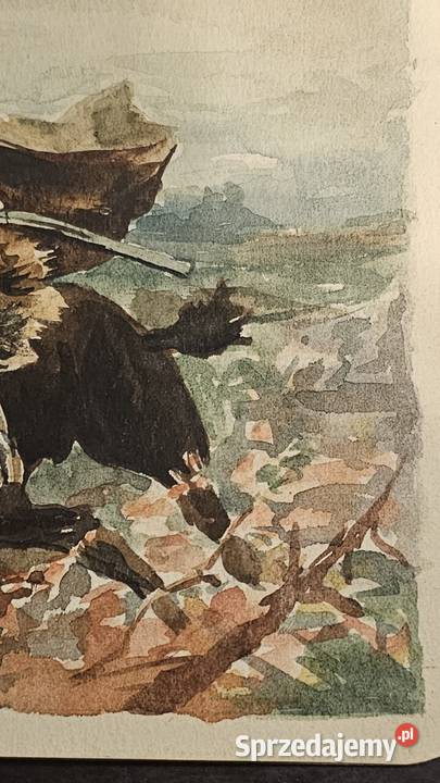 Pocztówka ręcznie malowana 1919 Katowice