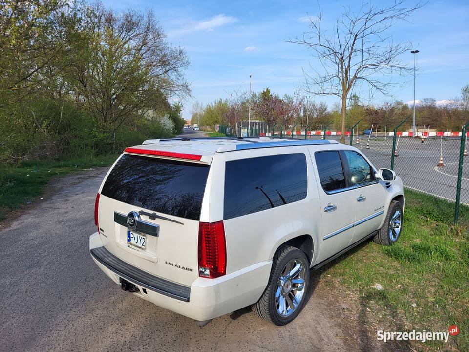 CADILLAC ESCALADE ESV PLATINUM 62 V8 BIAŁA PERŁA Poznań