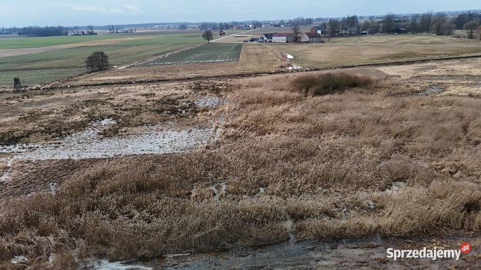 Syndyk sprzeda nieruchomość gruntową w m Molna