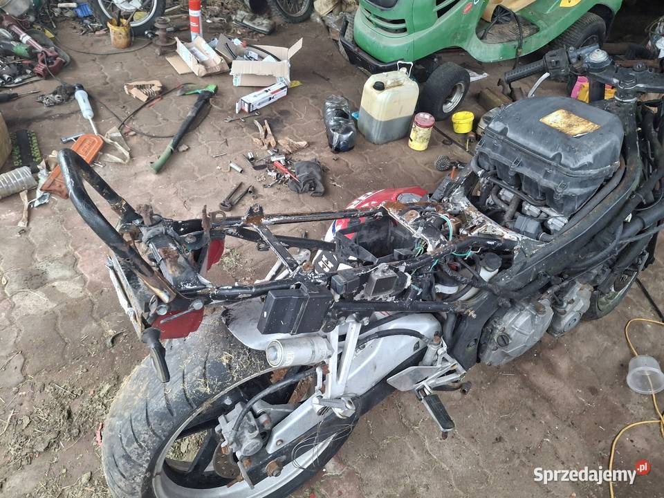 Honda CBR w całości na czesci Strzelce Krajeńskie