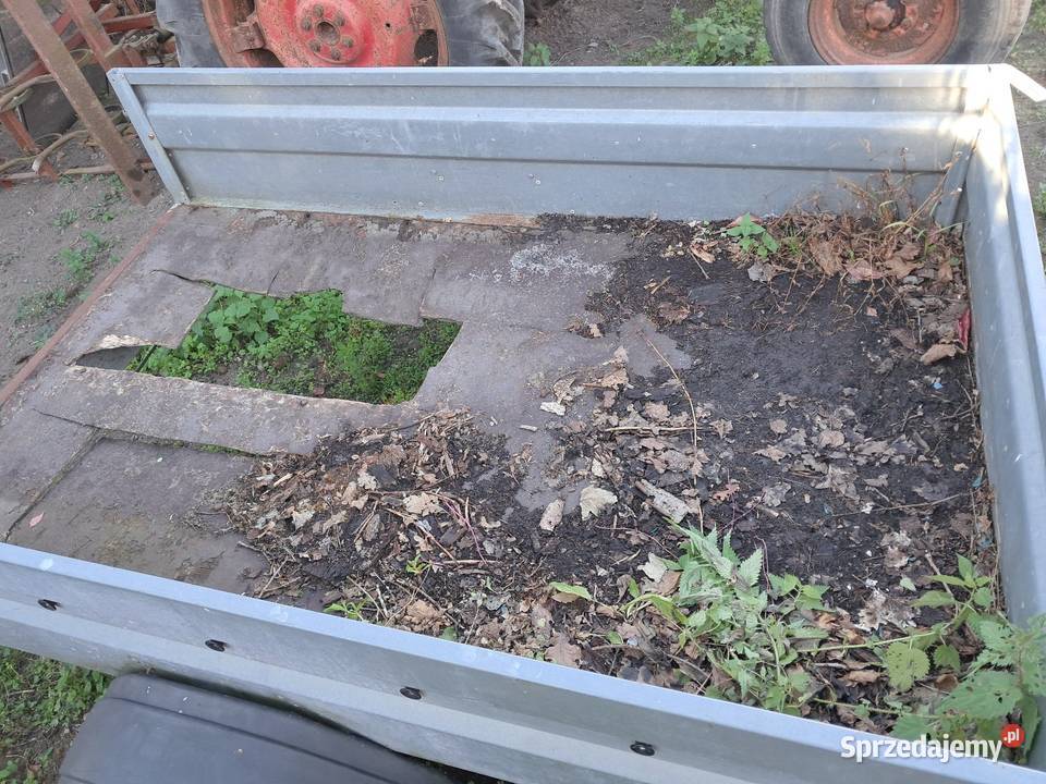 Przyczepka bez pap 500 dmc brenderup Grębocin