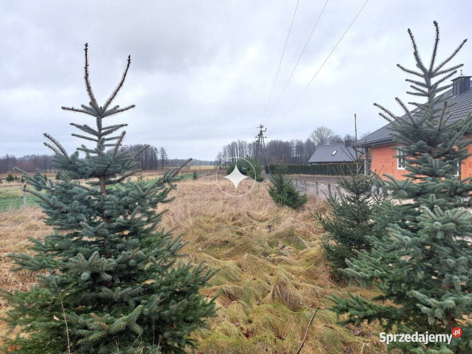 Działa budowlana Serpelice n Bugiem 14.5m