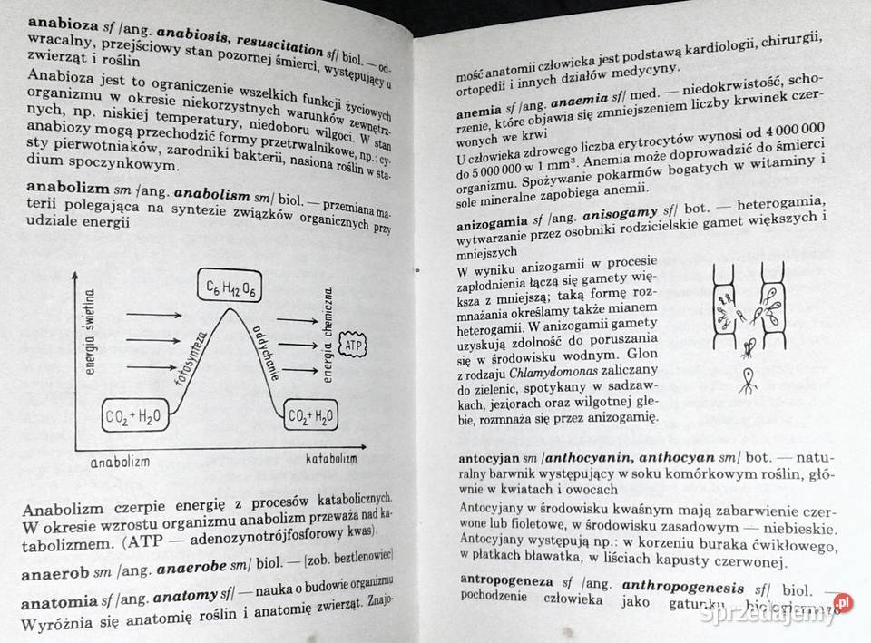 ABC biologii Słowniczek ilustrowany Anucjata