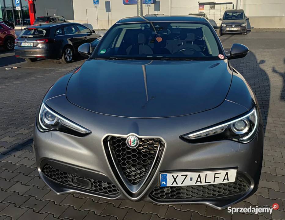 Stelvio SUPER 280 Europa HAK Łopatki RACE Stelvio Reda