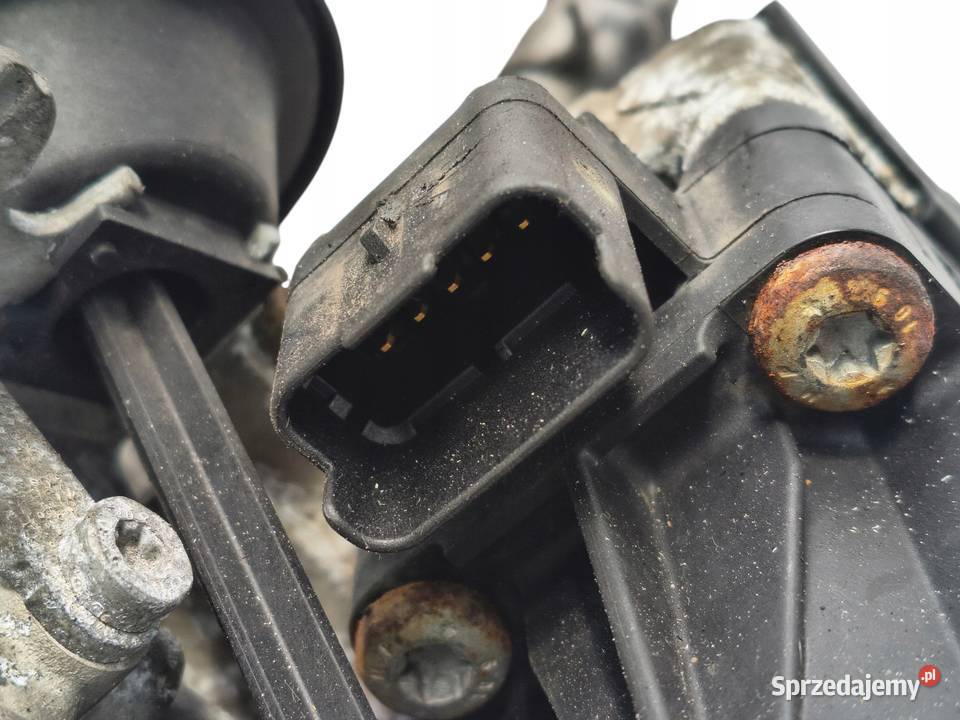CHŁODNICA SPALIN ZAWÓR EGR Ford Focus III C II lubelskie Chełm sprzedam