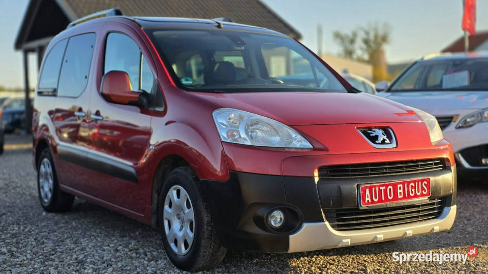 Peugeot Partner tepee family II 2008 elektryczne lusterka Lębork sprzedam