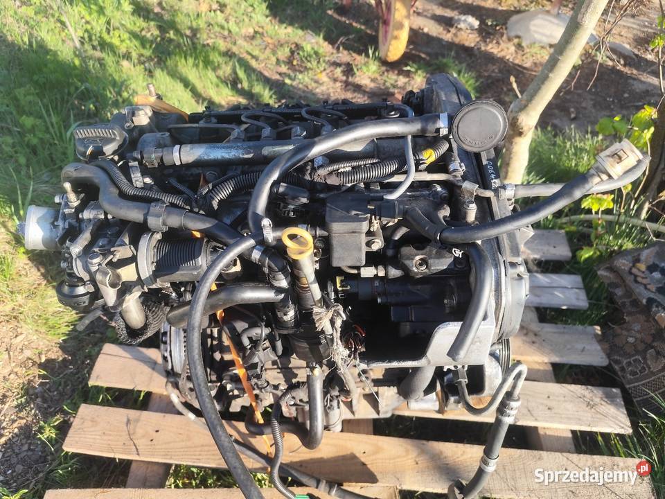 Silnik 19 JTD Alfa Romeo GT 2003r sprawny do diesel Przeworsk