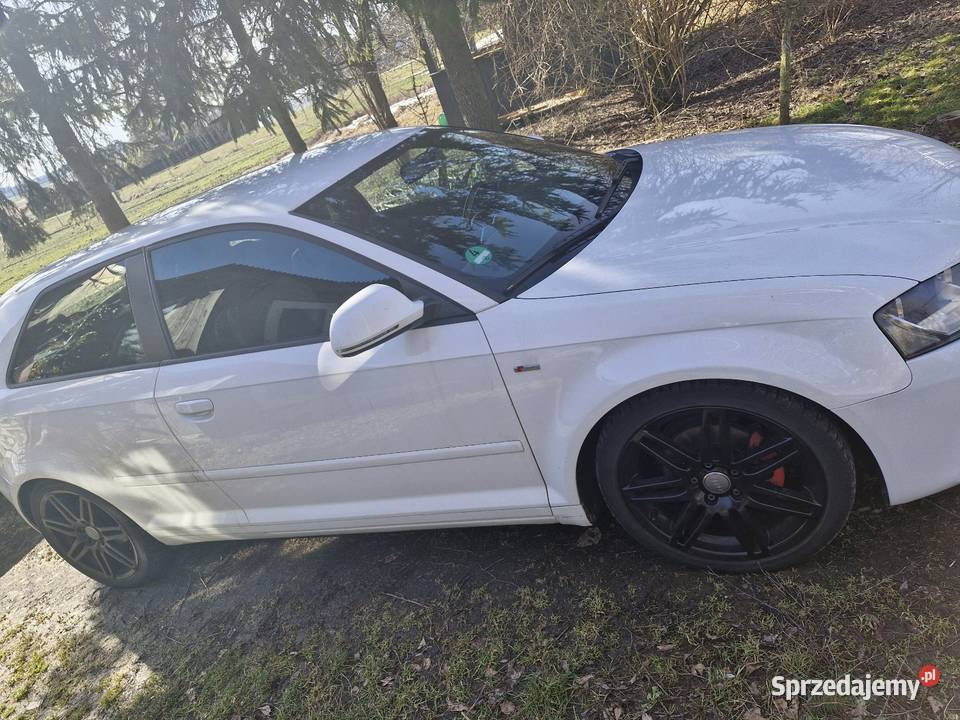 Audi a3 8p 18 Zamość