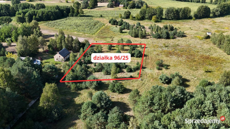 Działka w lesie 3006 m pozwolenie na budowę Piłka sprzedam