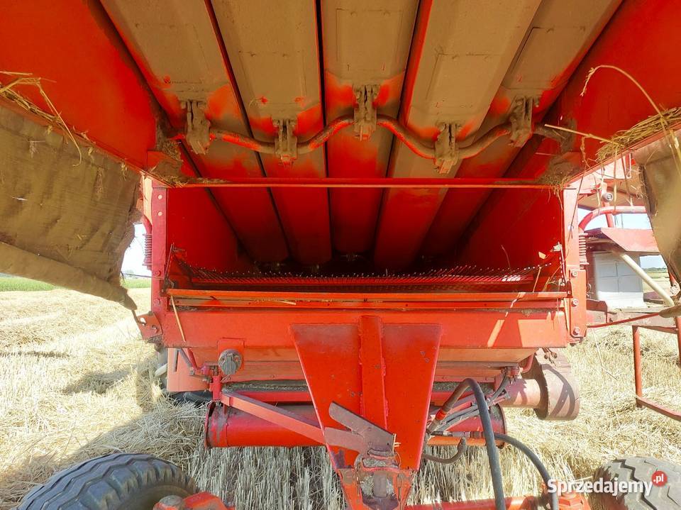Kombajn Bizon Z056 prosto z pola