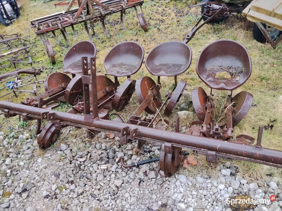 Sadzarka do kapusty warzyw Miechów