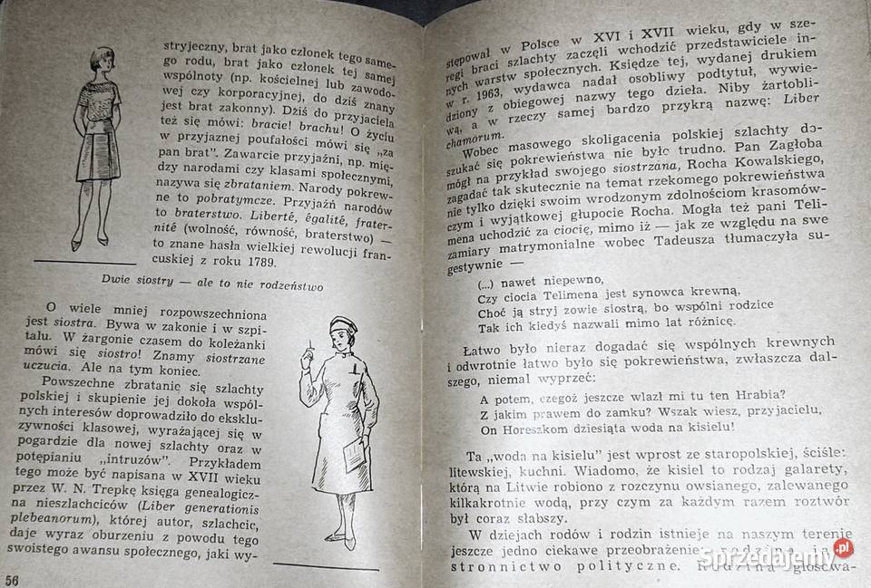 słowa do słowa D JodłowskaWesołowska miękka Chełm sprzedam