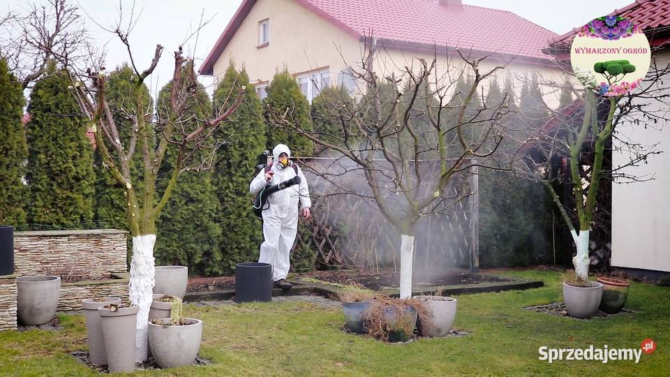 Opryski ogrodów trawników Konin Koło Słupca