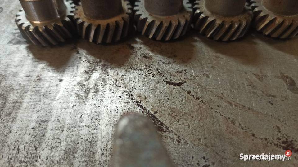 koła zębate skośne do głowic wielowrzecionowych sprzedam