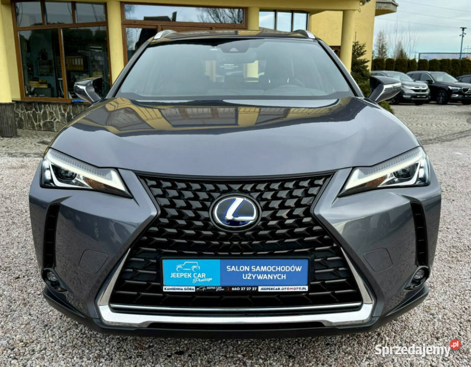 Lexus UX 250hHybrydaIdealnyGwarancja Kamienna Góra