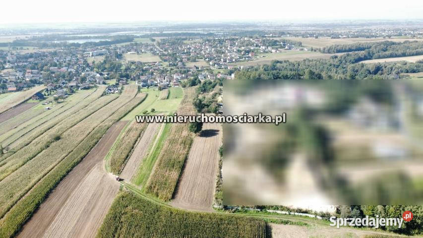 Działka 9230m2 Syrynia