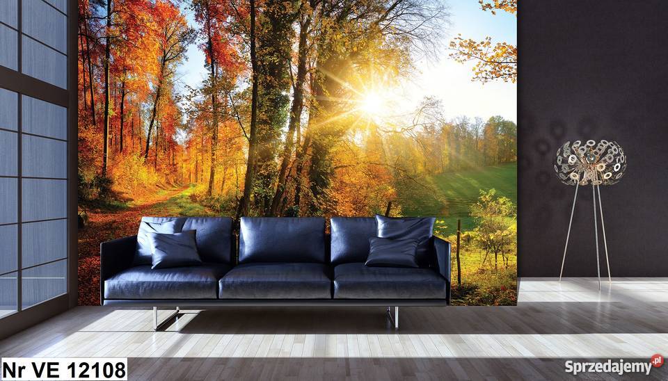 Tapeta fototapeta Piękny las liście