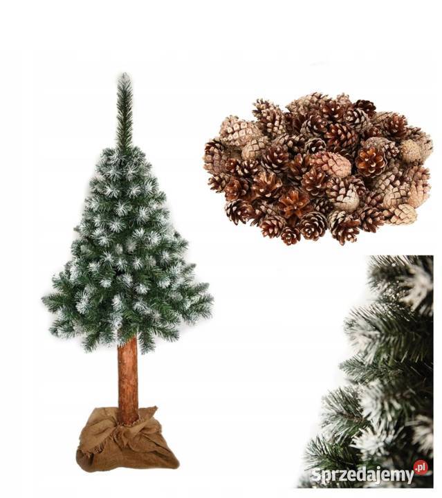 Sztuczna Choinka 180 na naturalnym pniu Kołbiel